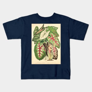 Assorted Caladium and Alocasia - Belgique horticole - Botanical Illustration Kids T-Shirt